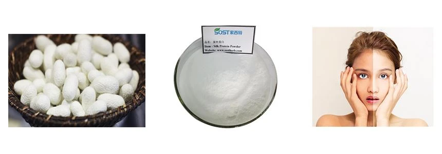 Silk protein 1 Silk protein 1