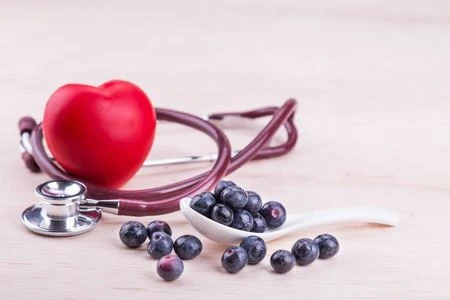 Grape Seed Extract powder Grape Seed Extract powder