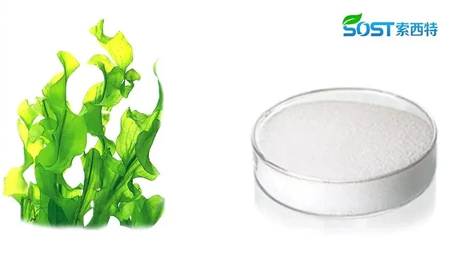 Sodium Alginate2 Sodium Alginate2