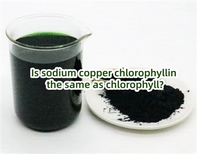 A nátrium-réz klorofillin ugyanaz, mint a klorofill?
