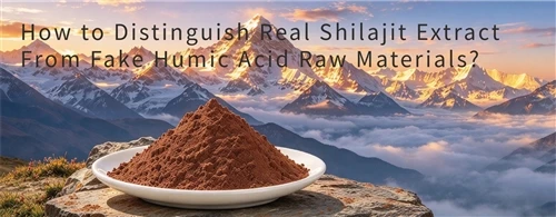 Hogyan lehet megkülönböztetni a valódi Shilajit kivonatot a hamis huminsav ny...