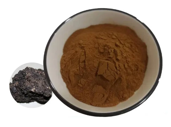 Shilajit Mushroom Extract Shilajit Mushroom Extract