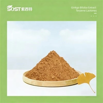 Ginkgo biloba kivonat terpén laktonok 6%