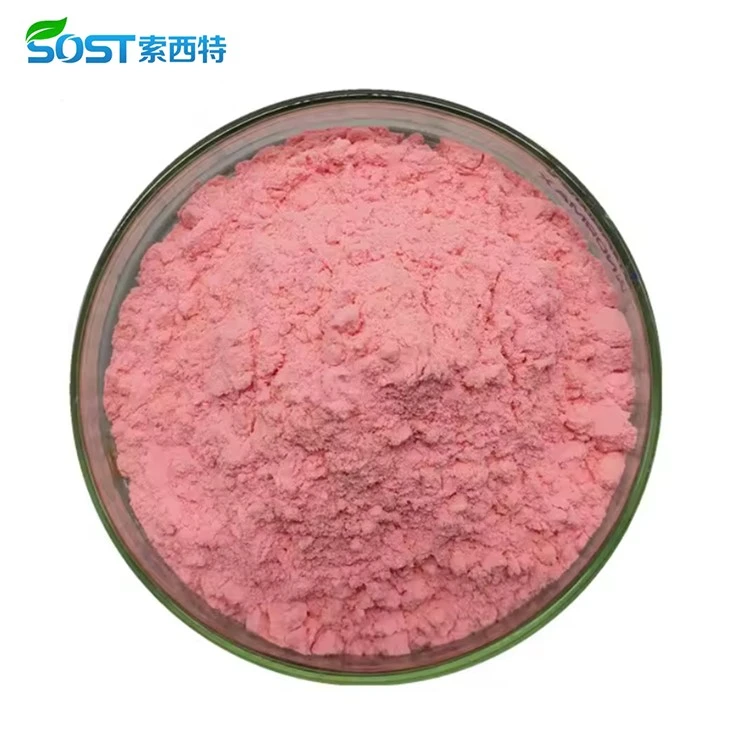 Freeze Dried Watermelon Powder