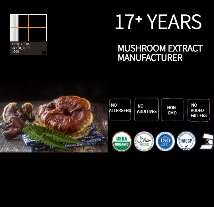 Buy Reishi Mushroom Extract