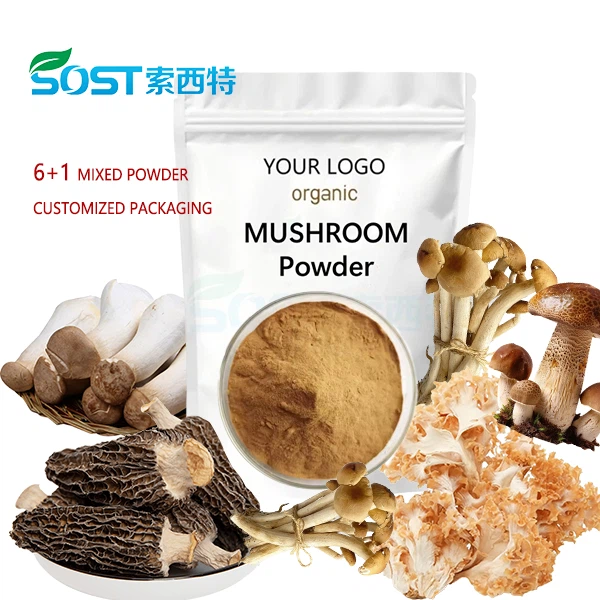 Chaga Mushroom Extract Powder factory
