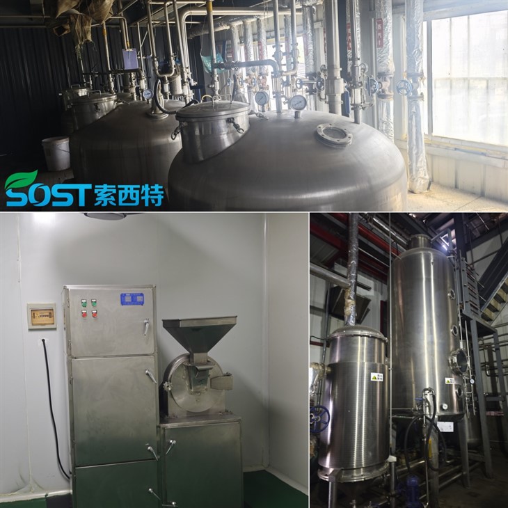 Shiitake Mushroom Extract high quality